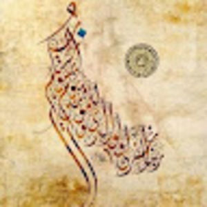 Meet your Posher, Mohamed